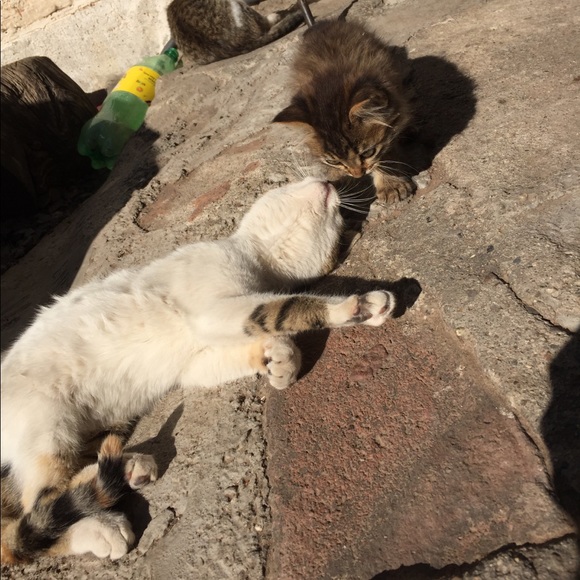 Meet your Posher - Picture 1 of 1